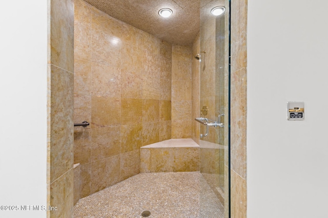bathroom featuring a shower stall