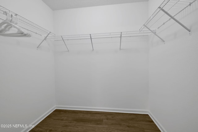 2304 Shady Breeze Ln, Green Cove Springs, FL 32043 - spacious closet with dark wood finished floors