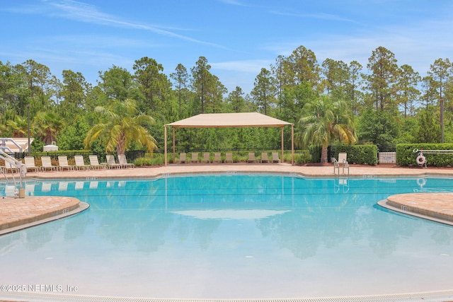 2304 Shady Breeze Ln, Green Cove Springs, FL 32043 - community pool with fence and view of wooded area