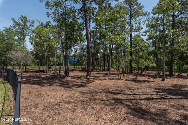 10461 Aventura Dr, Jacksonville, FL 32256 - photo 95