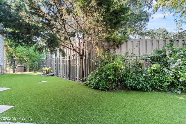 182 N Ridge Dr, Fleming Island, FL 32003 - view of yard
