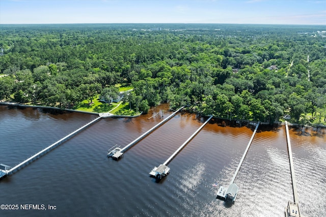 182 N Ridge Dr, Fleming Island, FL 32003 - bird's eye view of a heavily wooded area and a nearby body of water