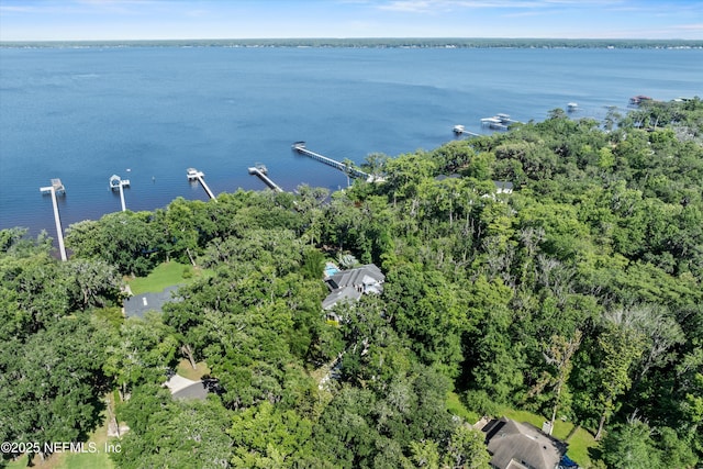 182 N Ridge Dr, Fleming Island, FL 32003 - aerial view of property's location with a nearby body of water