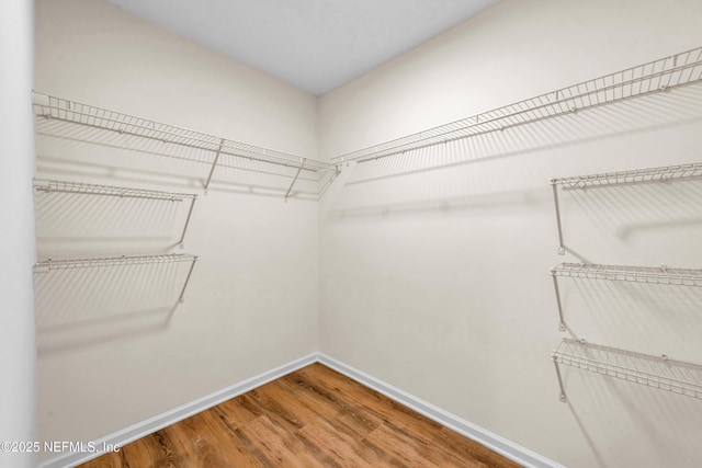 1902 Gillis St, Palatka, FL 32177 - walk in closet featuring wood finished floors