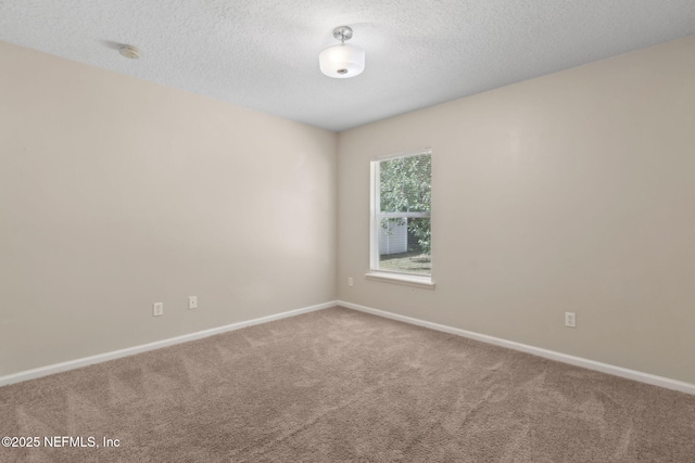 12254 Hagan Creek Dr, Jacksonville, FL 32218 - photo 36