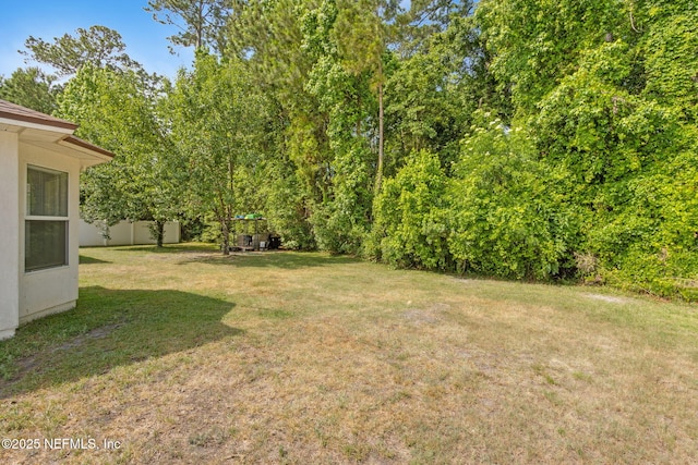 12254 Hagan Creek Dr, Jacksonville, FL 32218 - photo 41