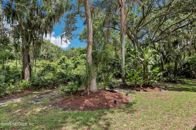 1700 Eagle Watch Dr, Fleming Island, FL 32003 - view of grassy yard with a view of trees