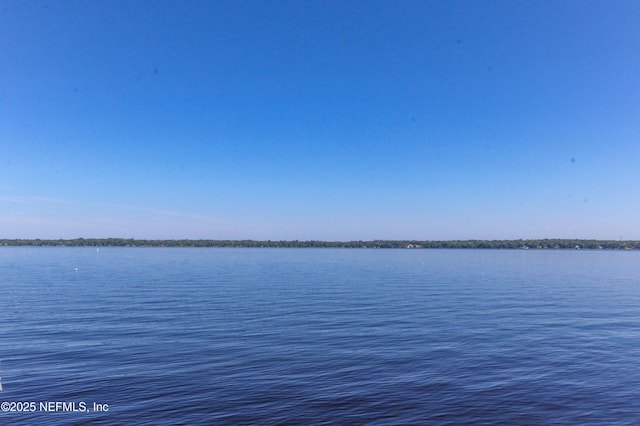 1700 Eagle Watch Dr, Fleming Island, FL 32003 - water view