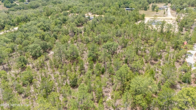 0 Azalea Dr, Interlachen, FL 32148