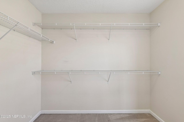 168 Nelson Ln, Saint Johns, FL 32259 - spacious closet featuring carpet