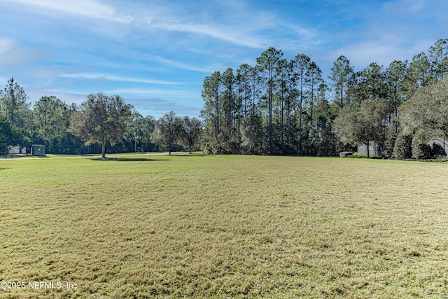 168 Nelson Ln, Saint Johns, FL 32259 - view of green lawn featuring view of wooded area