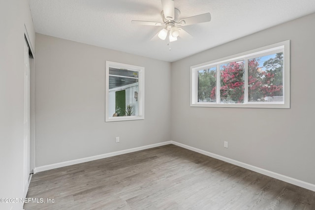 8151 Ladoga Ave, Jacksonville, FL 32217 - photo 23