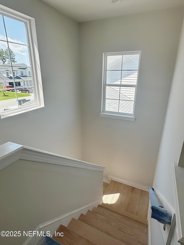 99 Sullivan Pl, Saint Johns, FL 32259 - stairway with healthy amount of natural light and wood finished floors
