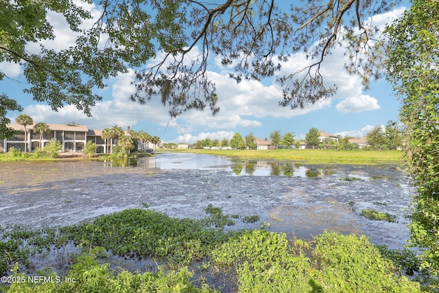 9250 Arbolita Way, Jacksonville, FL 32256 - water view