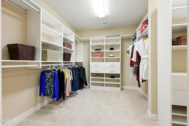 123 Tree Side Ln, Ponte Vedra, FL 32081 - walk in closet featuring carpet