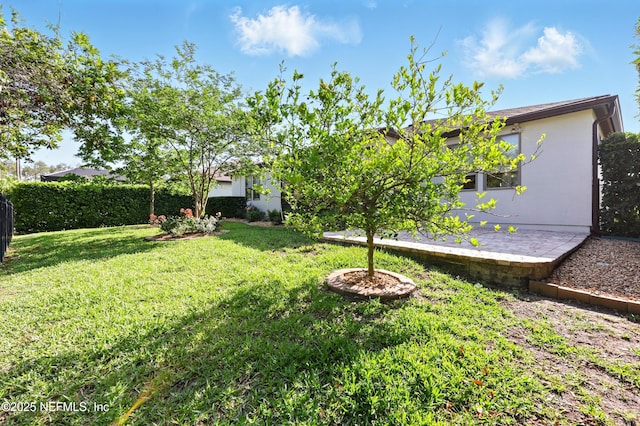 123 Tree Side Ln, Ponte Vedra, FL 32081 - view of grassy yard