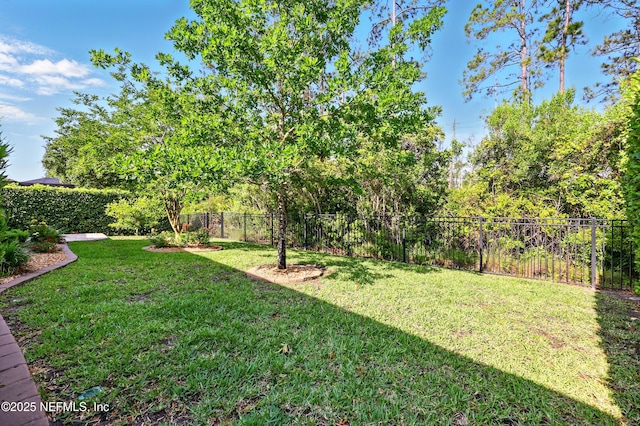 123 Tree Side Ln, Ponte Vedra, FL 32081 - view of yard