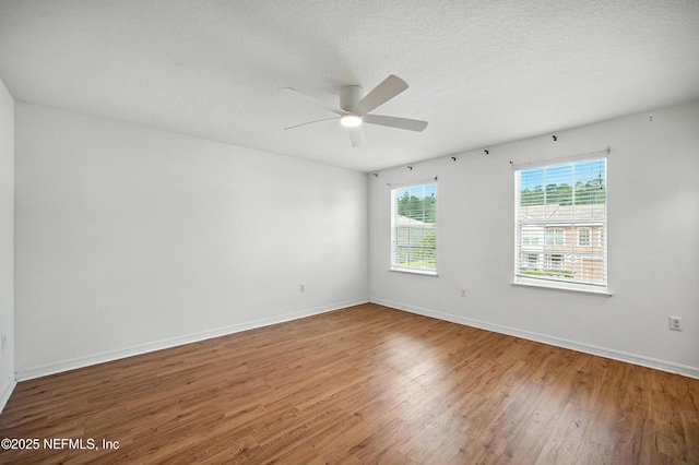3769 Verde Gardens Cir, Jacksonville, FL 32218 - photo 13