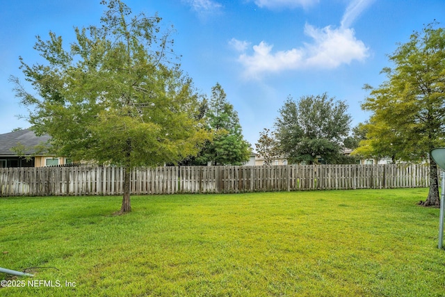 3769 Verde Gardens Cir, Jacksonville, FL 32218 - photo 24