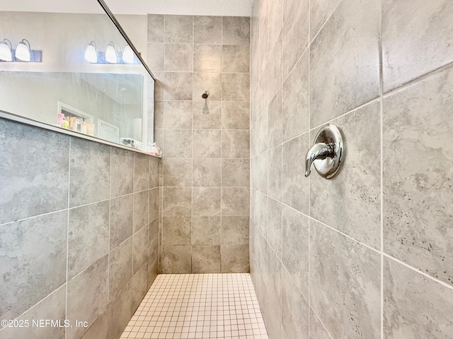 195 Torres Trce, Saint Augustine, FL 32095 - bathroom with tiled shower