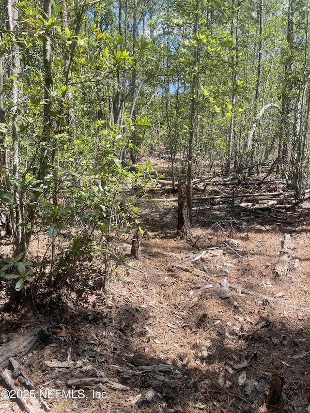 109 Arden St, Georgetown FL, 32139 land for sale