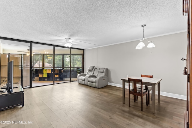1071 Edgewood Ave S Unit 206, Jacksonville, FL 32205 - living area featuring ceiling fan, a textured ceiling, expansive windows, ornamental molding, and wood finished floors