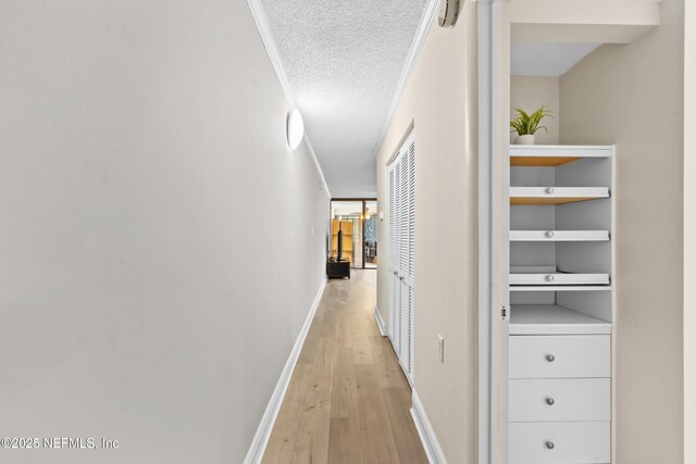 1071 Edgewood Ave S Unit 206, Jacksonville, FL 32205 - hall with light wood-type flooring and a textured ceiling