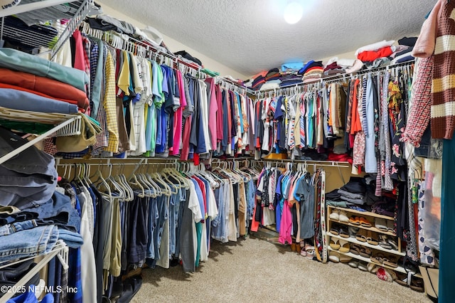 364 Maplewood Dr, Saint Johns, FL 32259 - walk in closet with carpet
