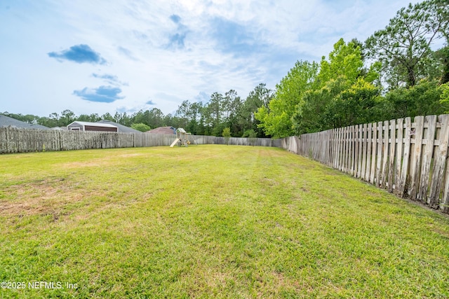 2443 Royal Pointe Dr, Green Cove Springs, FL 32043 - view of yard