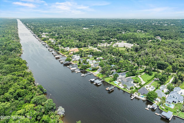 195 S Roscoe Blvd, Ponte Vedra Beach, FL 32082 - aerial view of a heavily wooded area and a nearby body of water