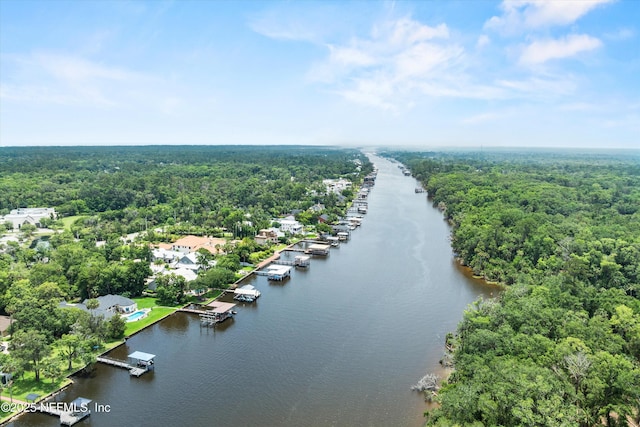 195 S Roscoe Blvd, Ponte Vedra Beach, FL 32082 - aerial view of a forest and a nearby body of water