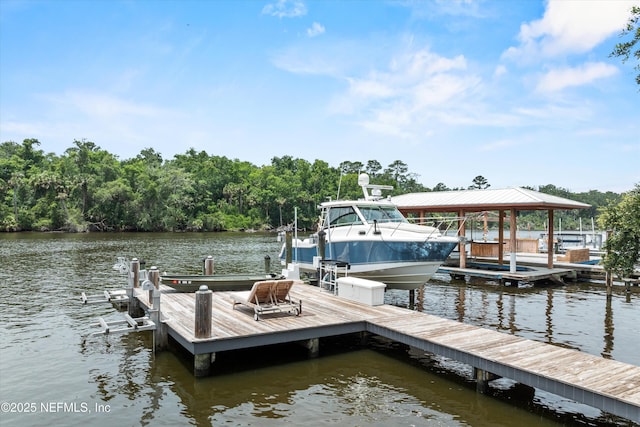 195 S Roscoe Blvd, Ponte Vedra Beach, FL 32082 - dock with boat lift and a water view