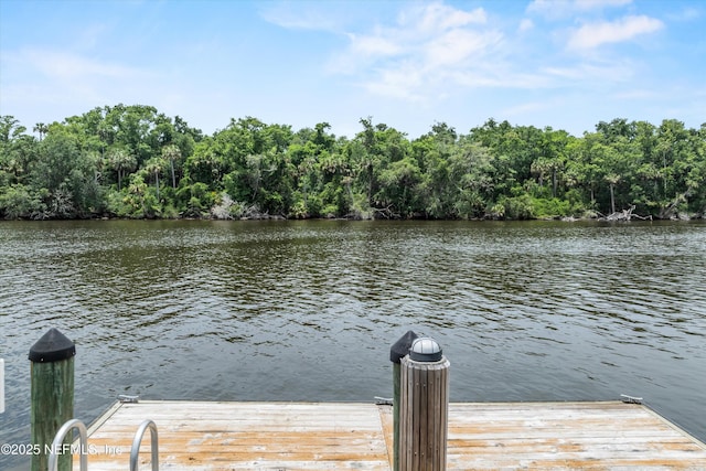 195 S Roscoe Blvd, Ponte Vedra Beach, FL 32082 - dock area featuring a water view