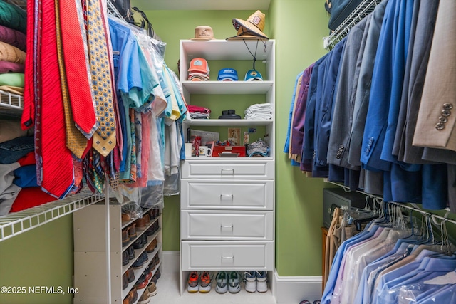 195 S Roscoe Blvd, Ponte Vedra Beach, FL 32082 - view of spacious closet