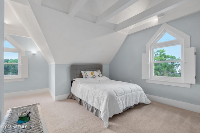 195 S Roscoe Blvd, Ponte Vedra Beach, FL 32082 - bedroom featuring multiple windows, carpet, and baseboards