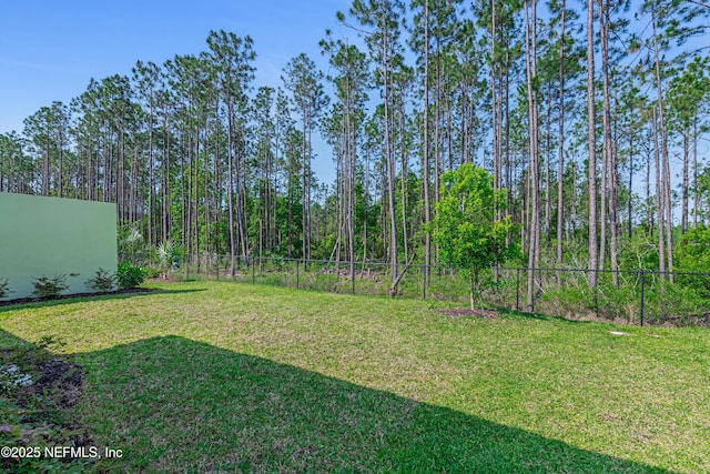 836 Margaritaville Ave, Daytona Beach, FL 32124 - view of yard