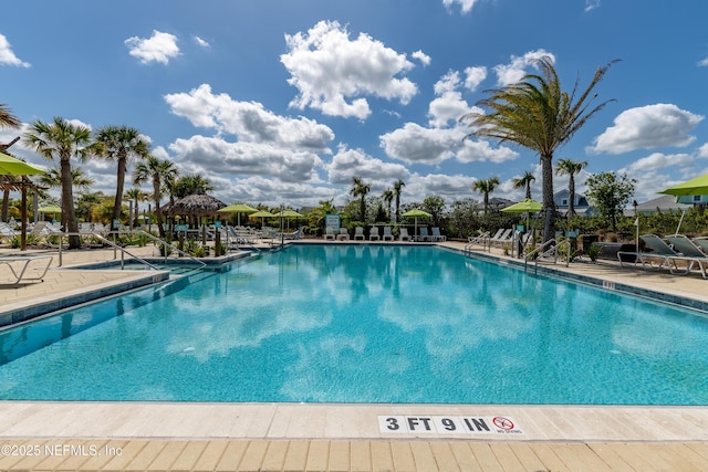 836 Margaritaville Ave, Daytona Beach, FL 32124 - community pool featuring a patio