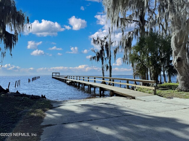121 Stella Rd, Georgetown, FL 32139 - photo 19