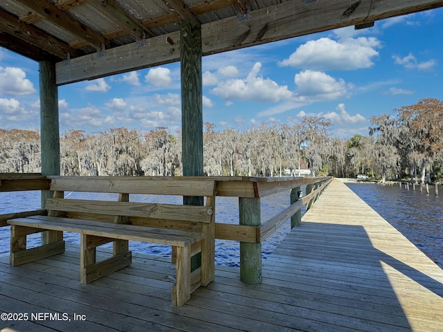 121 Stella Rd, Georgetown, FL 32139 - photo 22