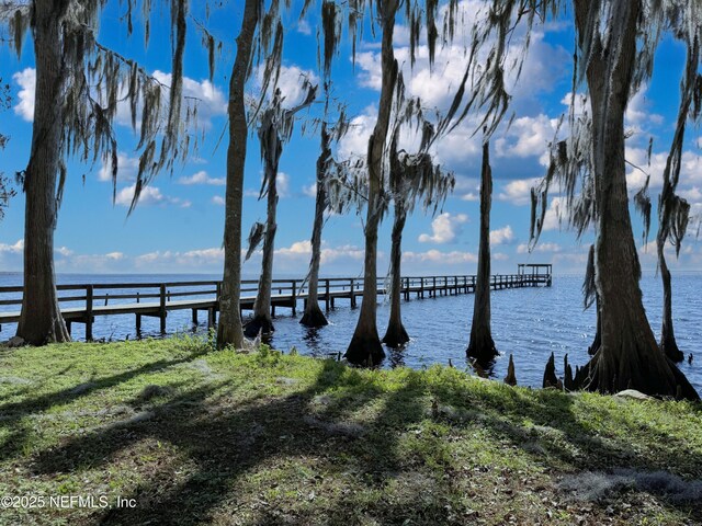 121 Stella Rd, Georgetown, FL 32139 - photo 28