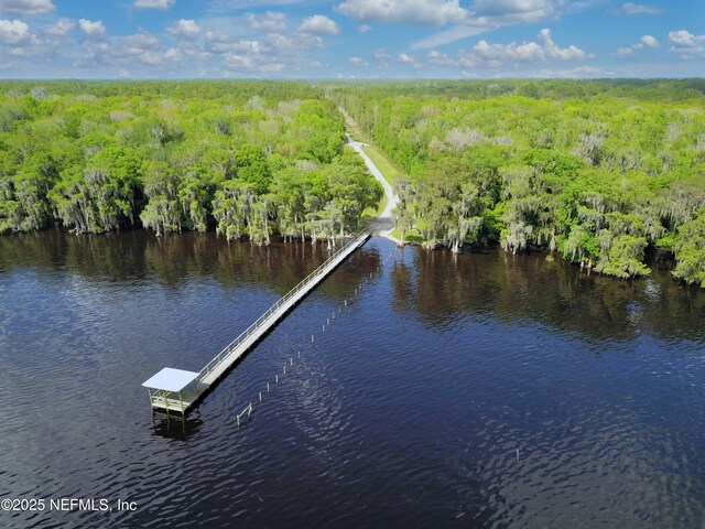 121 Stella Rd, Georgetown, FL 32139 - photo 30
