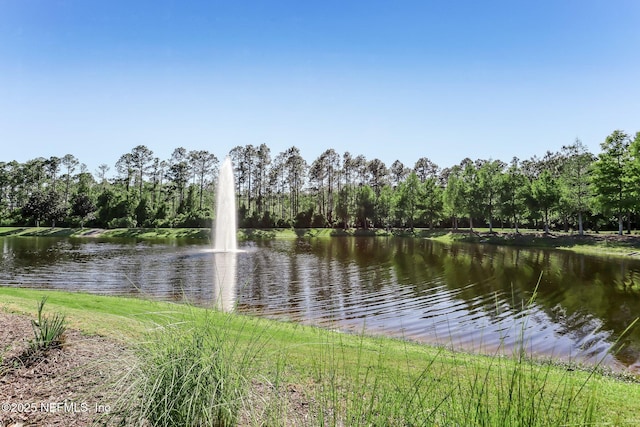 222 Bonita Vista Dr, Ponte Vedra, FL 32081 - photo 53