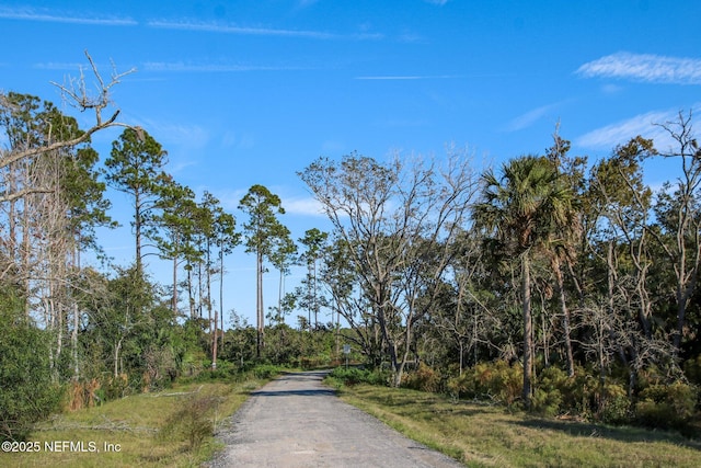 222 Bonita Vista Dr, Ponte Vedra, FL 32081 - photo 101
