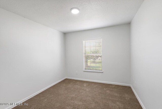 3264 Fox Squirrel Dr, Orange Park, FL 32073 - photo 19