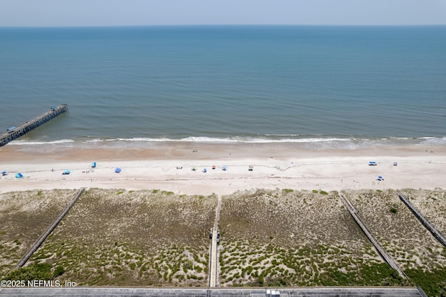 3350 S Fletcher Ave Unit D5, Fernandina Beach, FL 32034 - water view with nearby beach