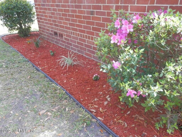 4225 Springfield Blvd, Jacksonville, FL 32206 - photo 15
