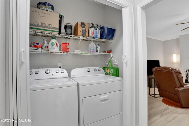 1303 Wood Hill Pl Unit 1303, Jacksonville, FL 32256 - washroom featuring washing machine and clothes dryer, light wood finished floors, ceiling fan, and ornamental molding