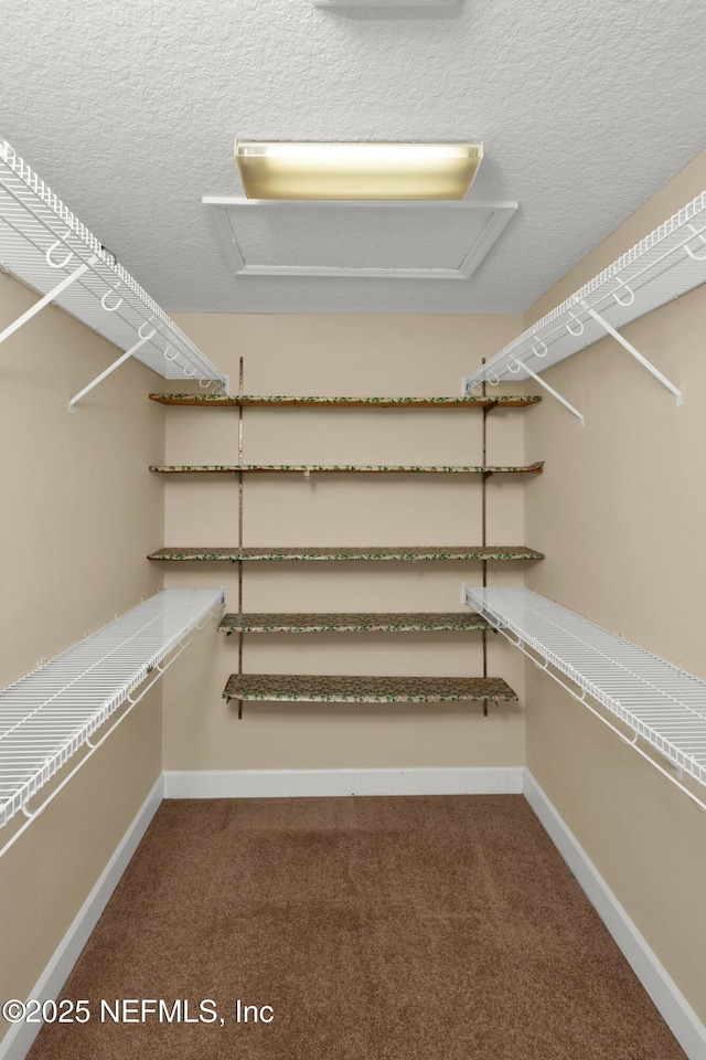 445 W Mill Chase Ct, Ponte Vedra Beach, FL 32082 - walk in closet with carpet flooring and attic access
