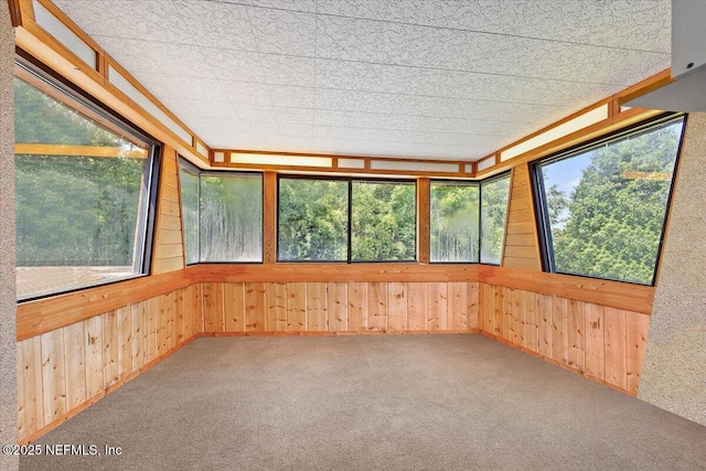 7868 Woodsdale Ln, Jacksonville, FL 32256 - unfurnished sunroom with wood walls and carpet floors