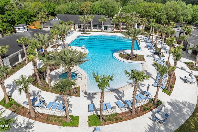 7868 Woodsdale Ln, Jacksonville, FL 32256 - community pool with view of scattered trees